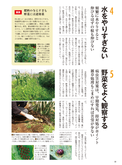 【電子版】夏野菜づくり 超基本とコツのコツ 2025年版（野菜だより2025年4月号増刊）(122504)