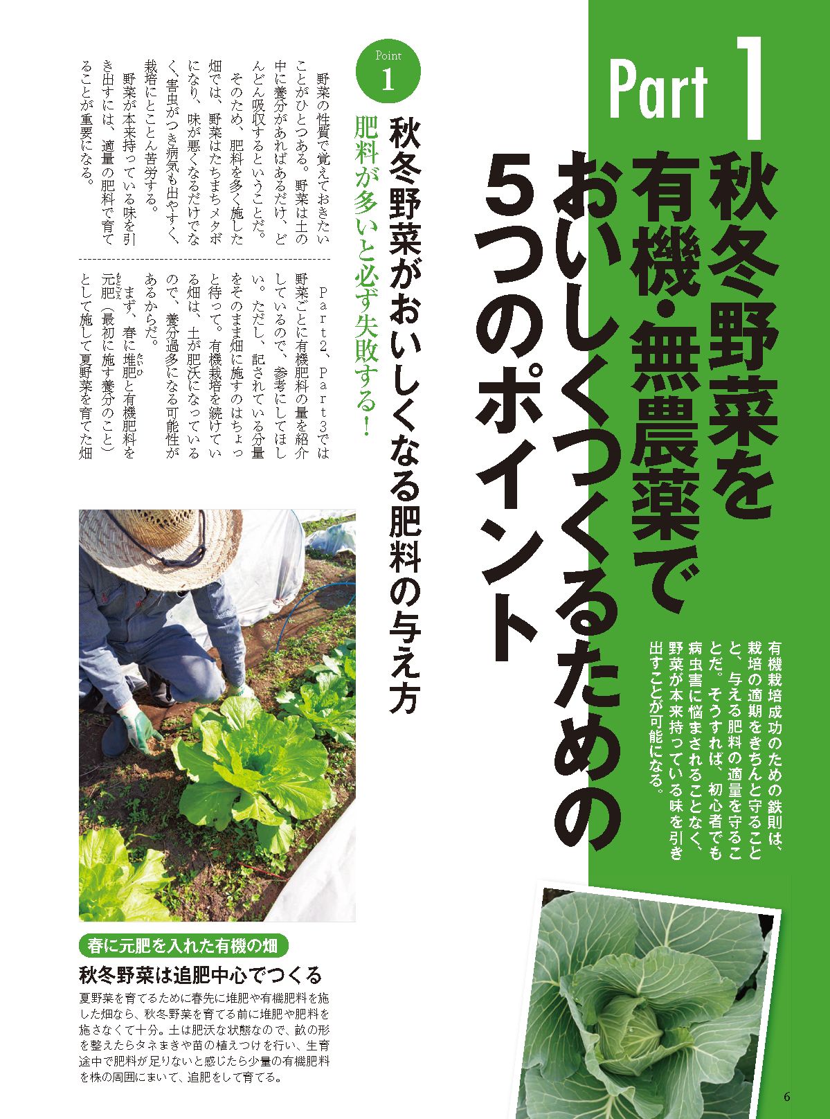 【書籍】秋冬野菜づくり 超基本とコツのコツ 2025年版（野菜だより2025年8月号増刊）(122508)