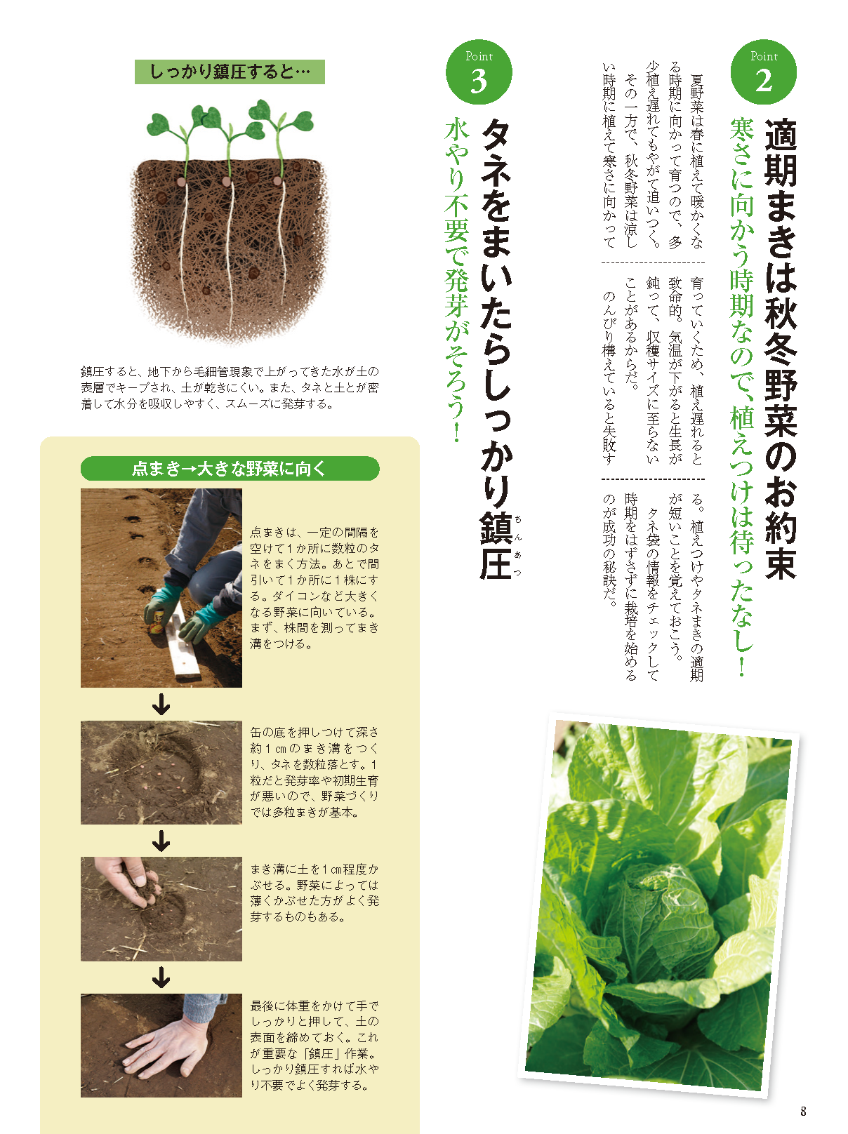 【書籍】秋冬野菜づくり 超基本とコツのコツ 2025年版（野菜だより2025年8月号増刊）(122508)