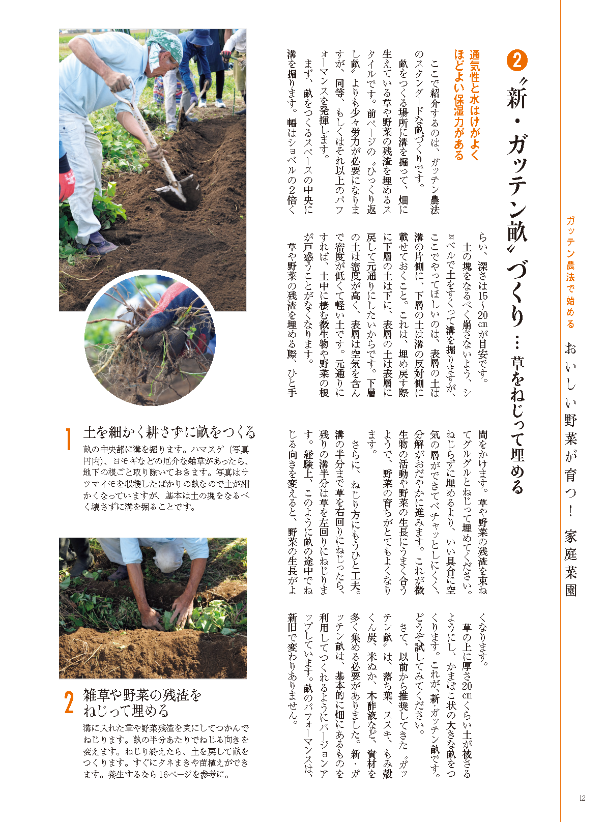 【書籍】野菜だより2025年3月春号(112503)
