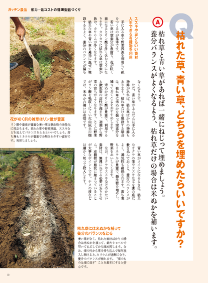 【書籍】野菜だより2025年3月春号(112503)