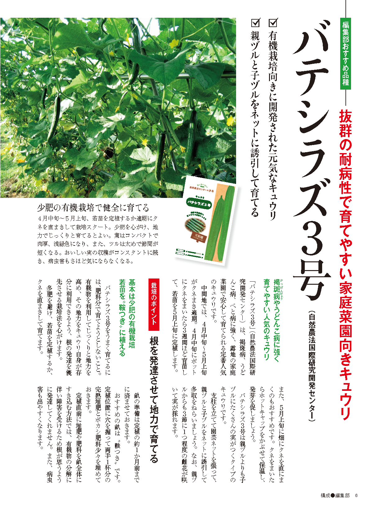 【書籍】野菜だより2025年5月初夏号(112505)
