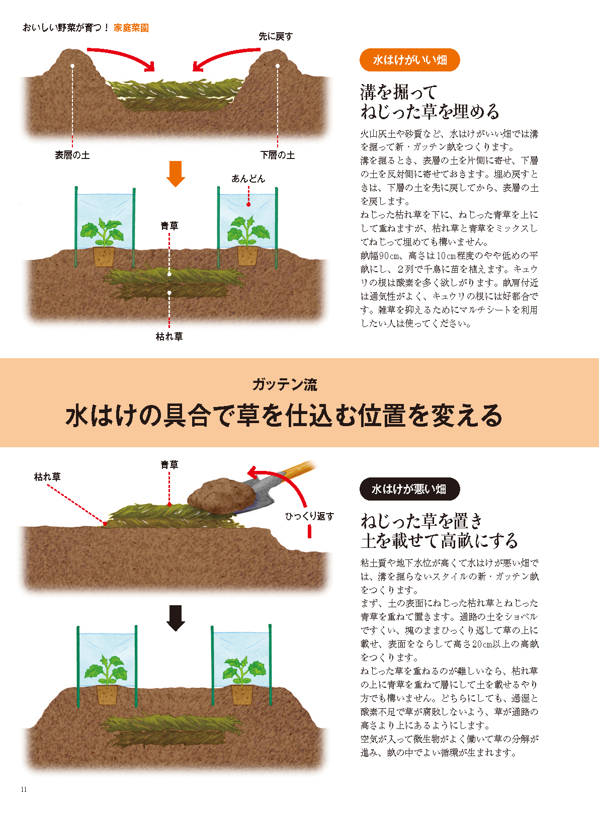 【書籍】野菜だより2025年5月初夏号(112505)