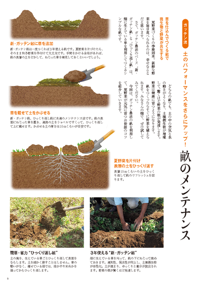 【書籍】野菜だより2025年7月夏号(112507)