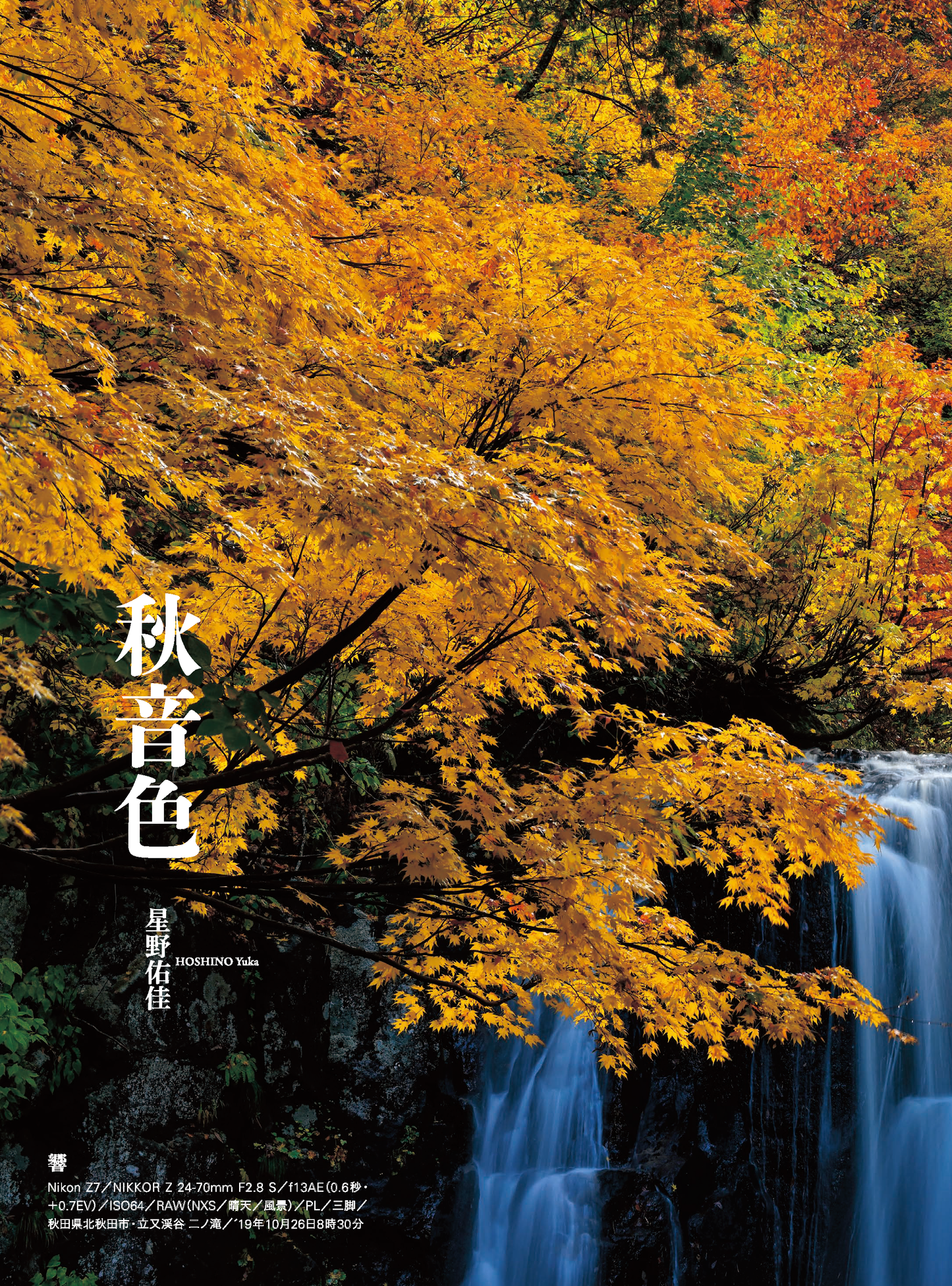 【電子版】風景写真2025年9・10月号(642509)
