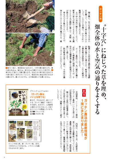 【書籍】野菜だより2025年9月秋号(112509)