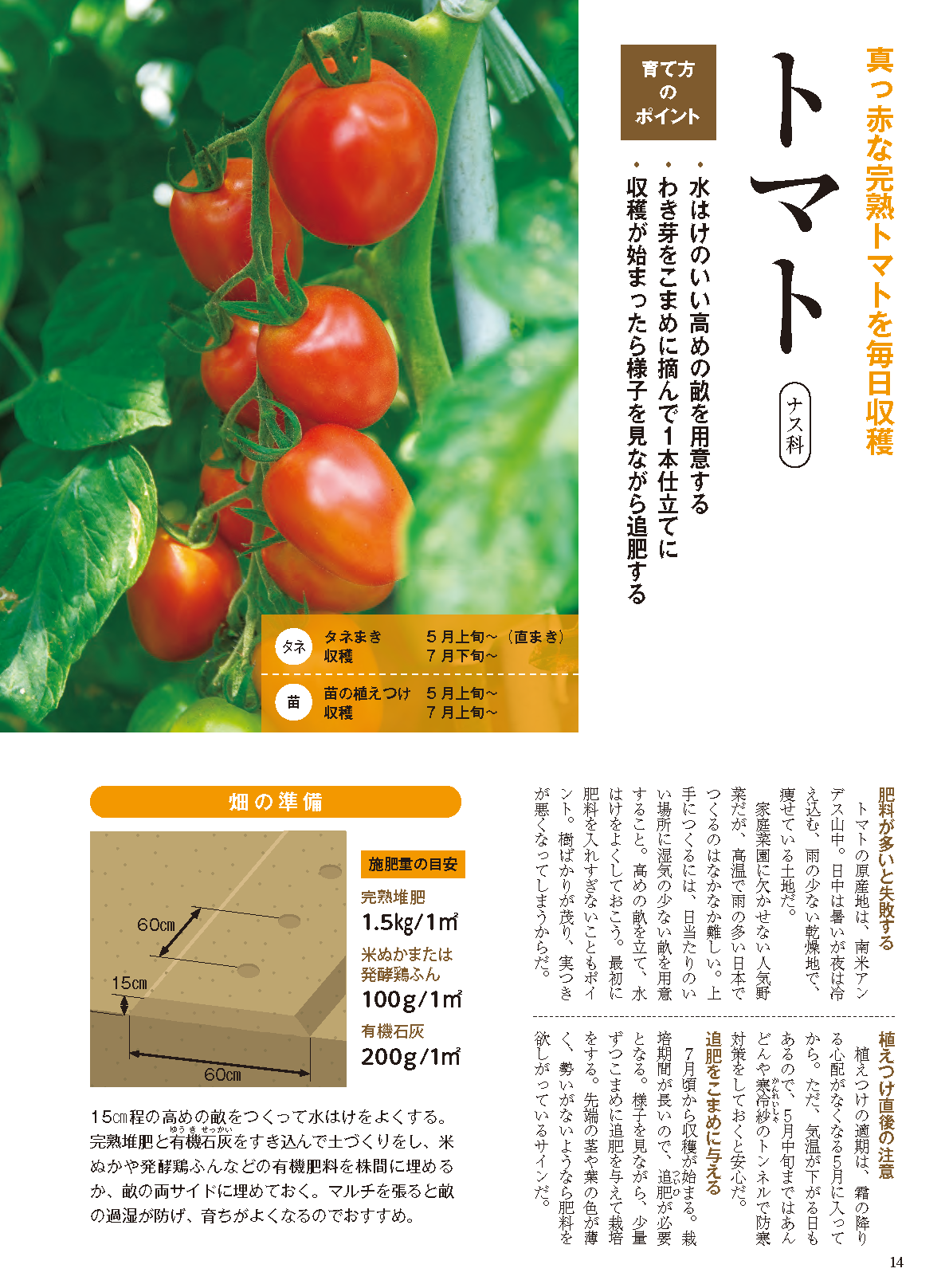 【書籍】夏野菜づくり超基本とコツのコツ2026年版（野菜だより2026年4月号増刊）(122604)