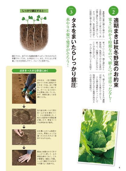 【書籍】秋冬野菜づくり超基本とコツのコツ2026年版（野菜だより2026年8月号増刊）(122608)