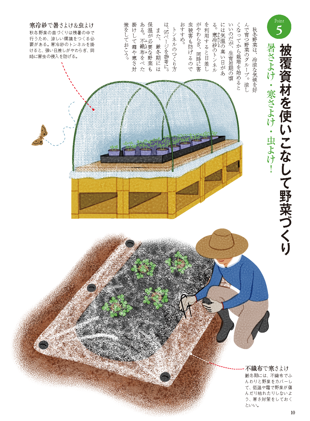 【書籍】秋冬野菜づくり超基本とコツのコツ2026年版（野菜だより2026年8月号増刊）(122608)