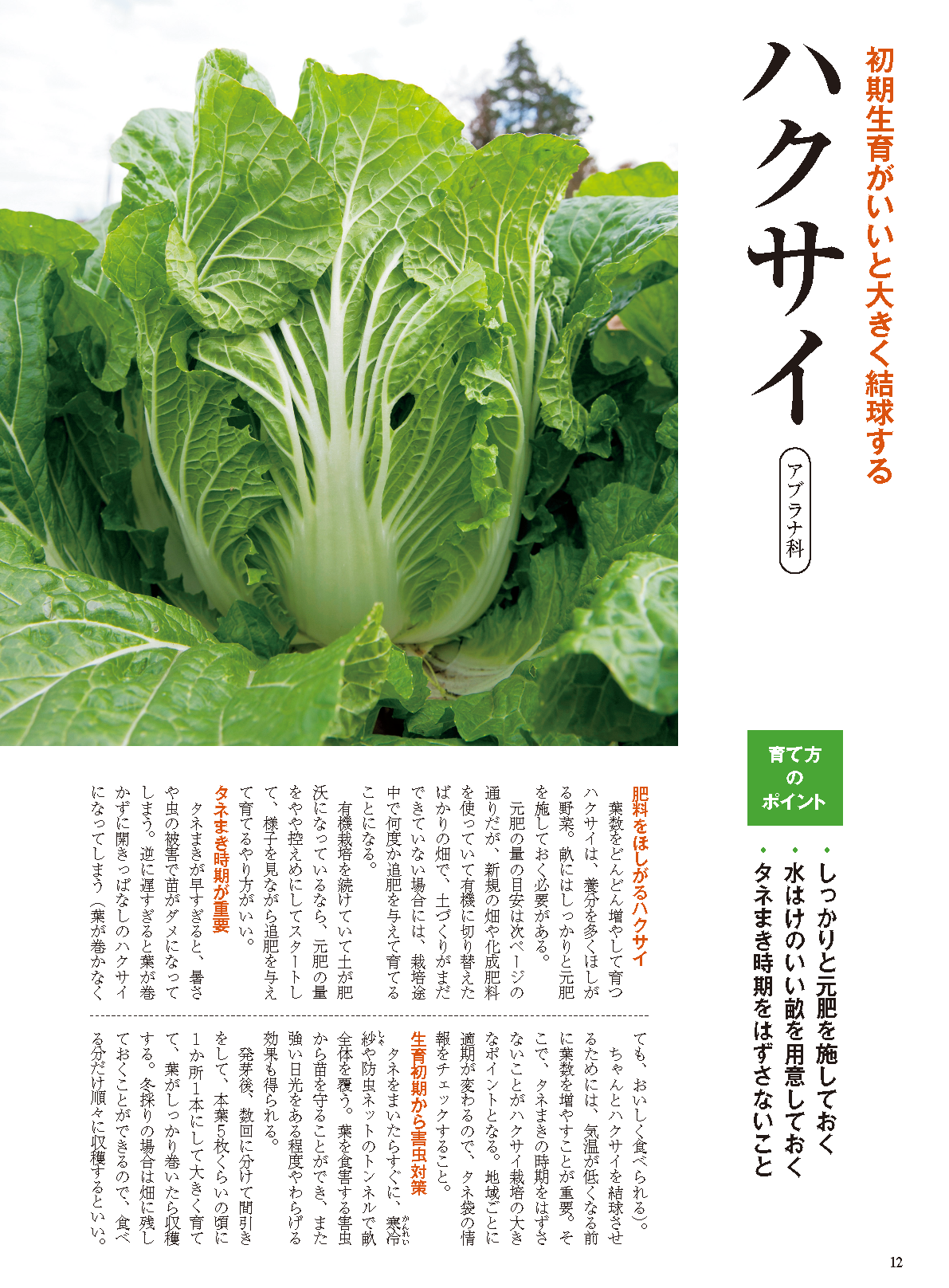 【書籍】秋冬野菜づくり超基本とコツのコツ2026年版（野菜だより2026年8月号増刊）(122608)