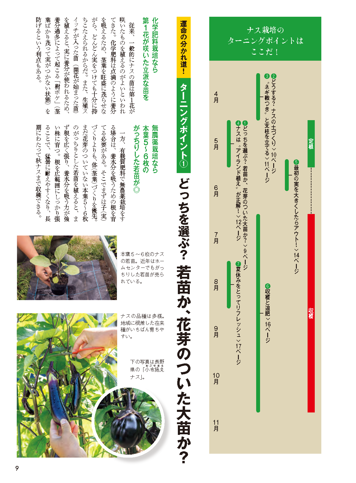 【書籍】野菜だより2026年5月初夏号(112605)