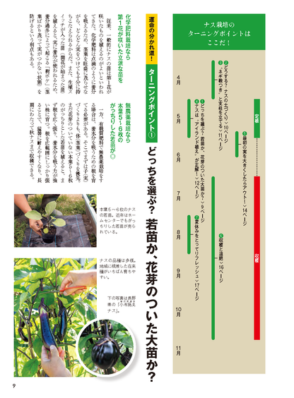 【書籍】野菜だより2026年5月初夏号(112605)