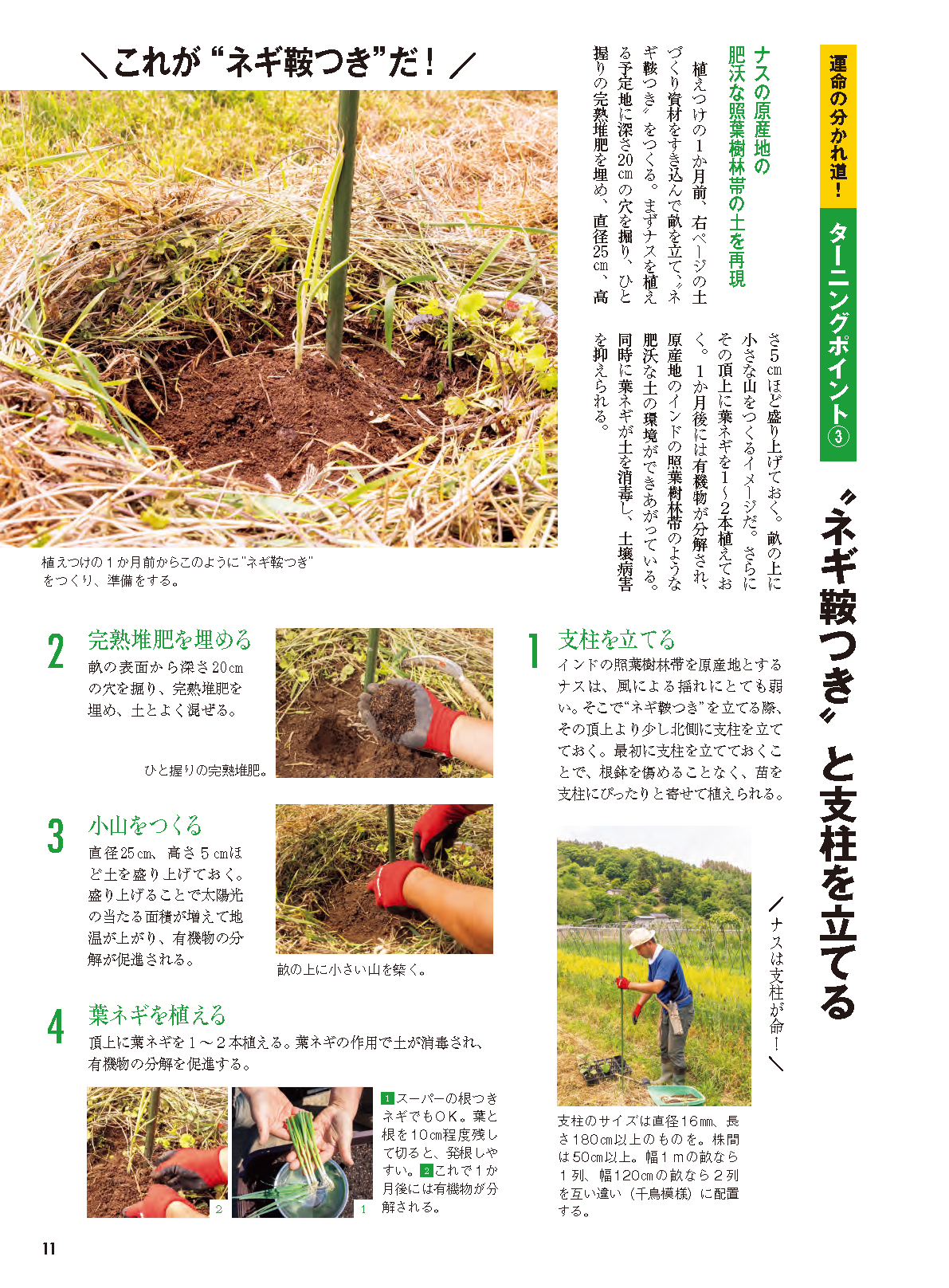 【書籍】野菜だより2026年5月初夏号(112605)