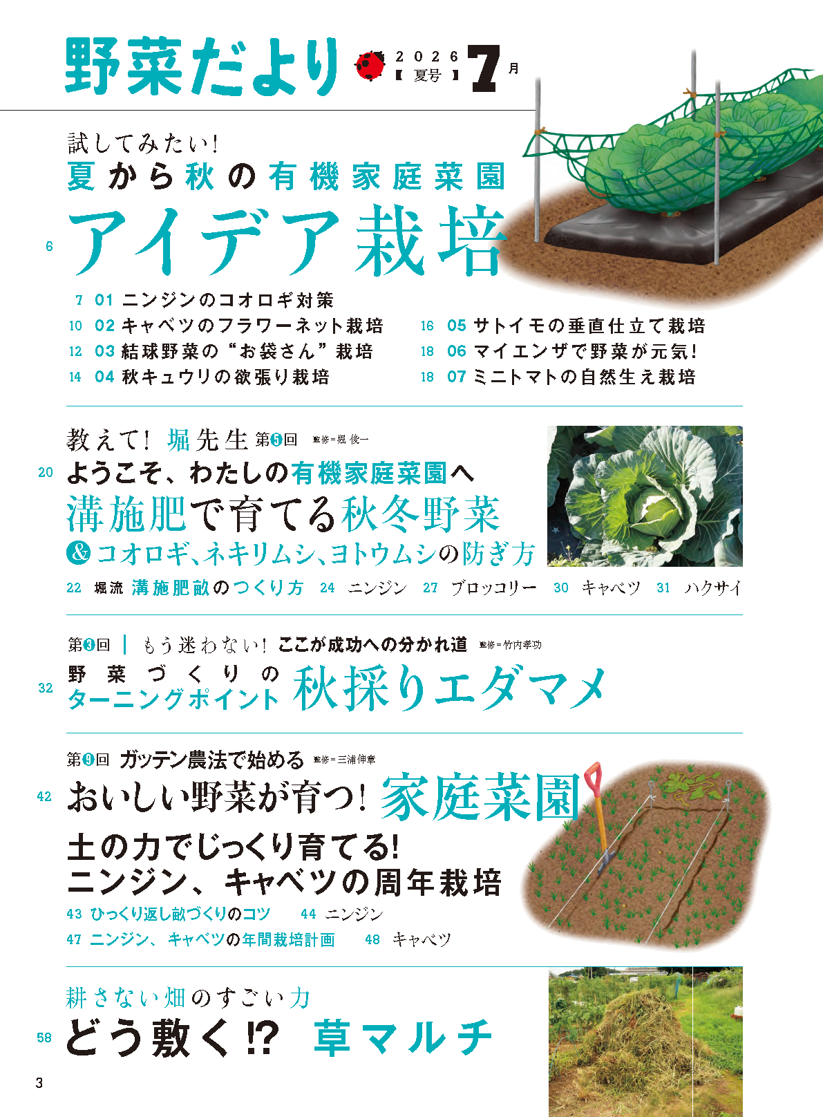 【書籍】野菜だより2026年7月夏号(112607)