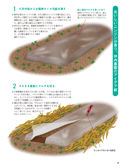 【書籍】野菜だより2026年7月夏号(112607)