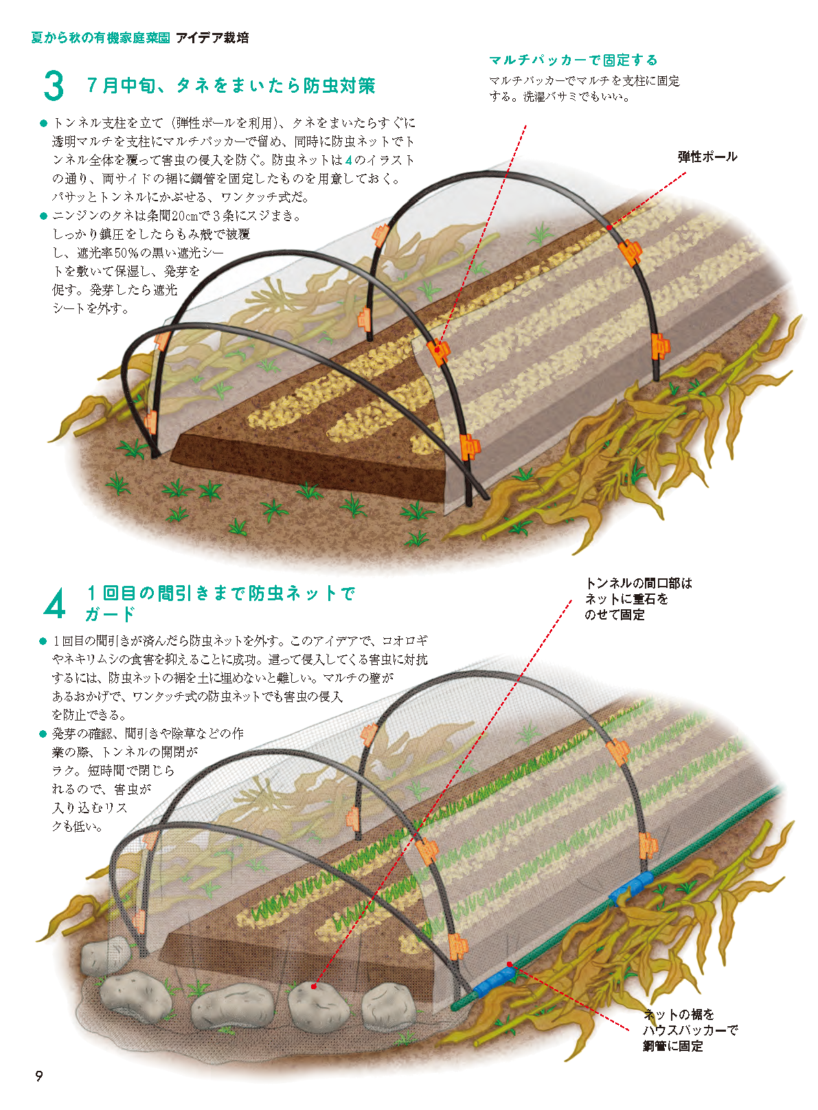 【書籍】野菜だより2026年7月夏号(112607)