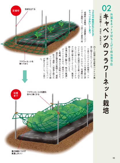 【書籍】野菜だより2026年7月夏号(112607)