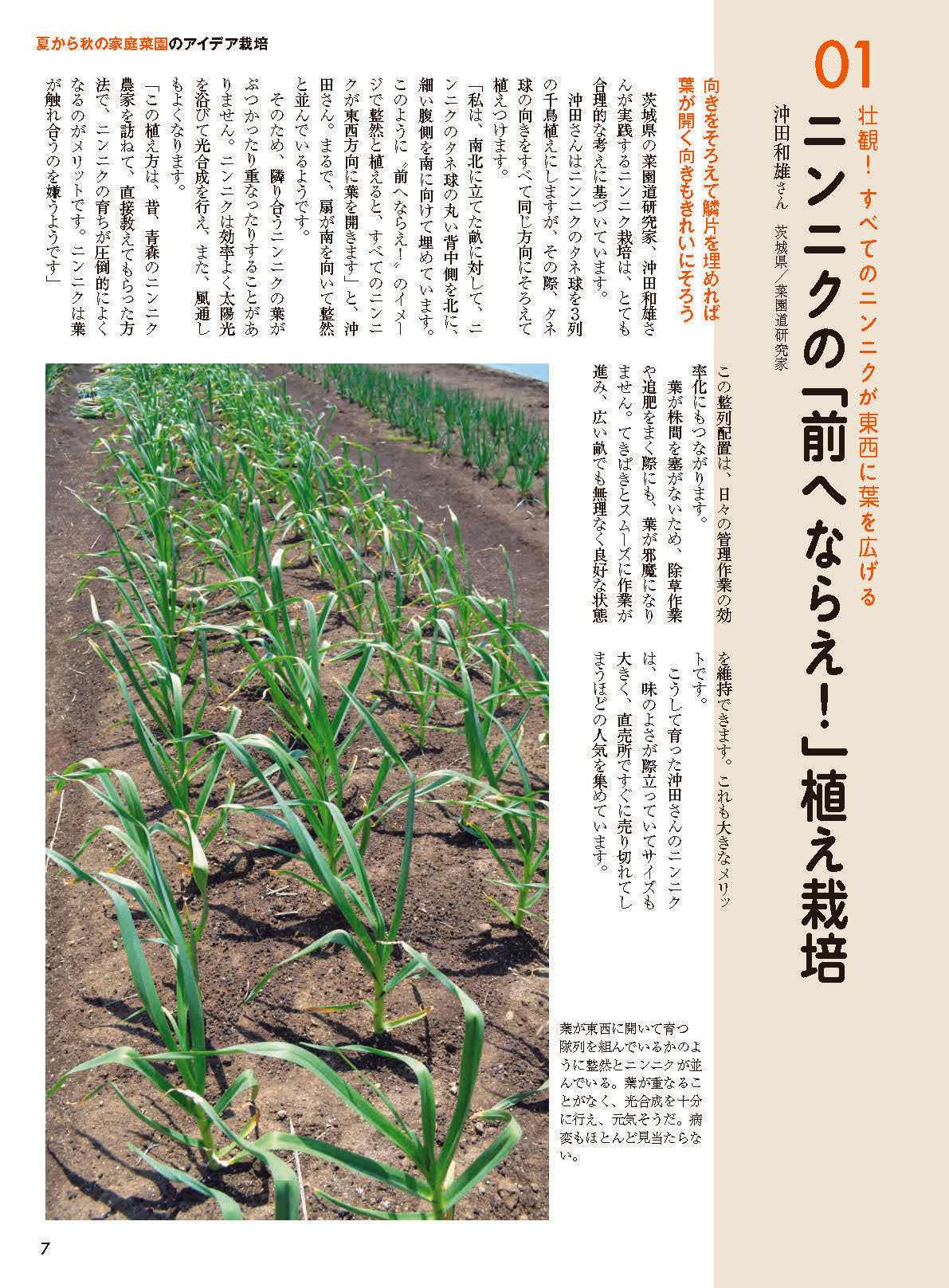 【書籍】野菜だより2026年9月秋号(112609)