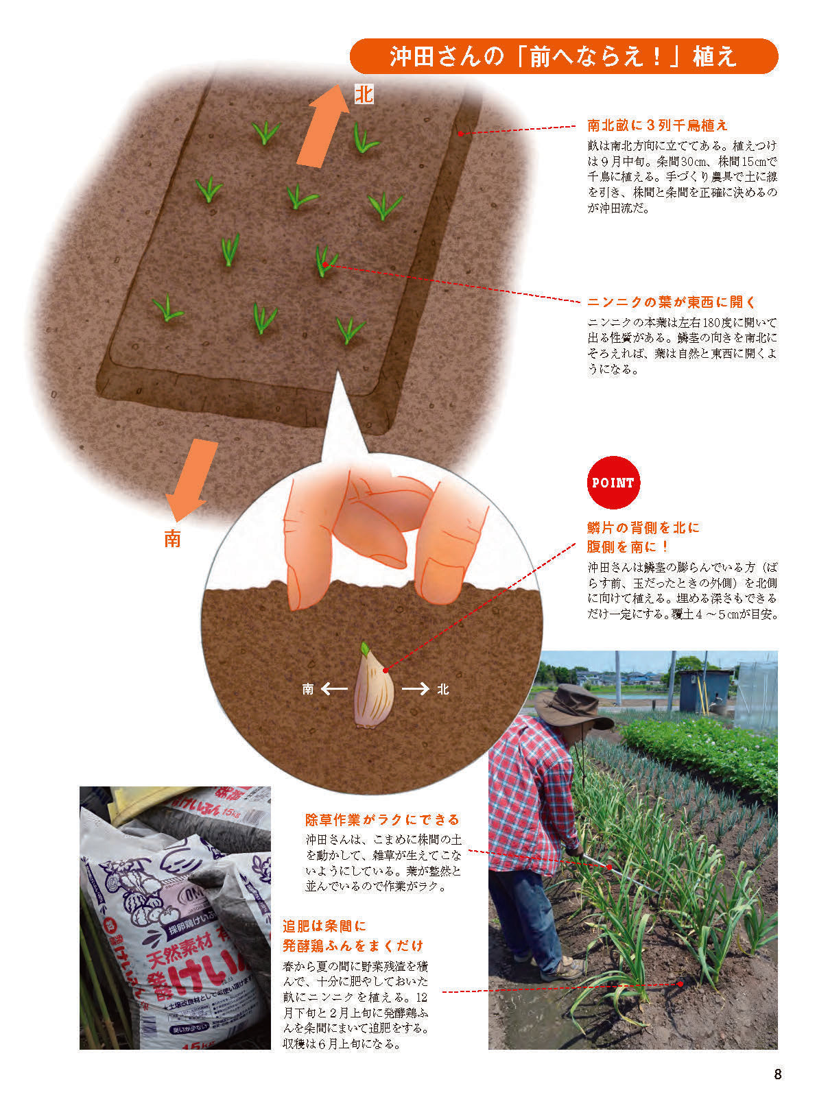 【書籍】野菜だより2026年9月秋号(112609)