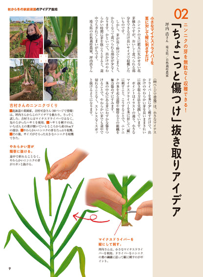 【書籍】野菜だより2026年9月秋号(112609)