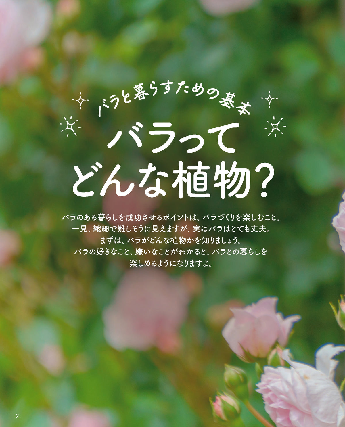 【書籍】バラと暮らす365日(M1999)