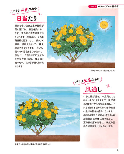 【書籍】バラと暮らす365日(M1999)