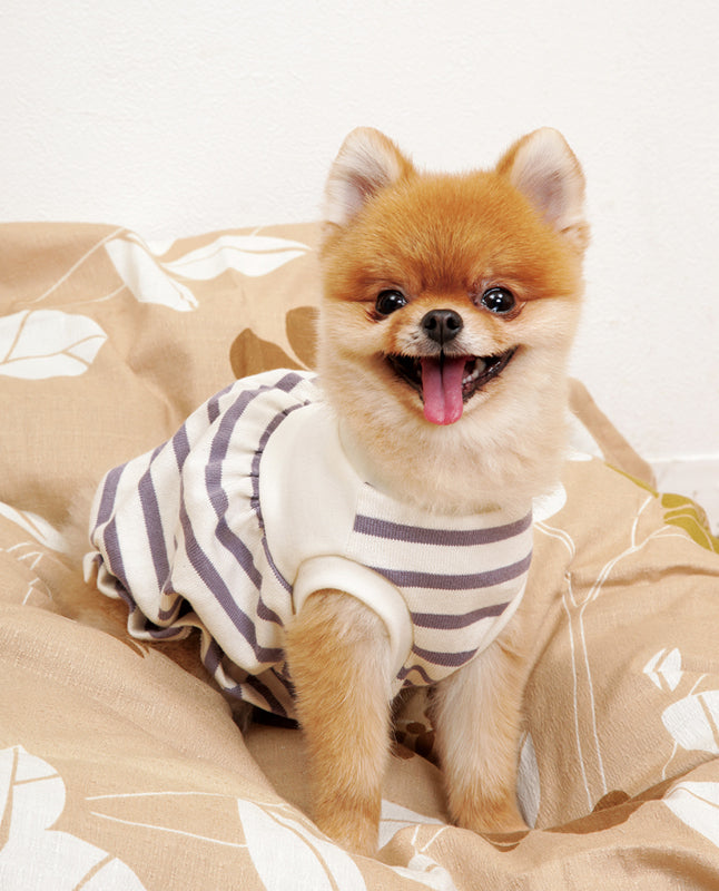 【型紙/犬服】小型犬のバルーンワンピース Design by milla milla （AM-0036）ポメラニアン/トイプードル/マルチーズ