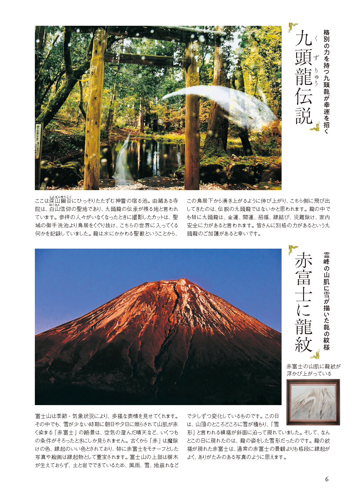 【書籍】ゆほびかGOLDα 2024年下半期(安心2024年8月号増刊)(162408)