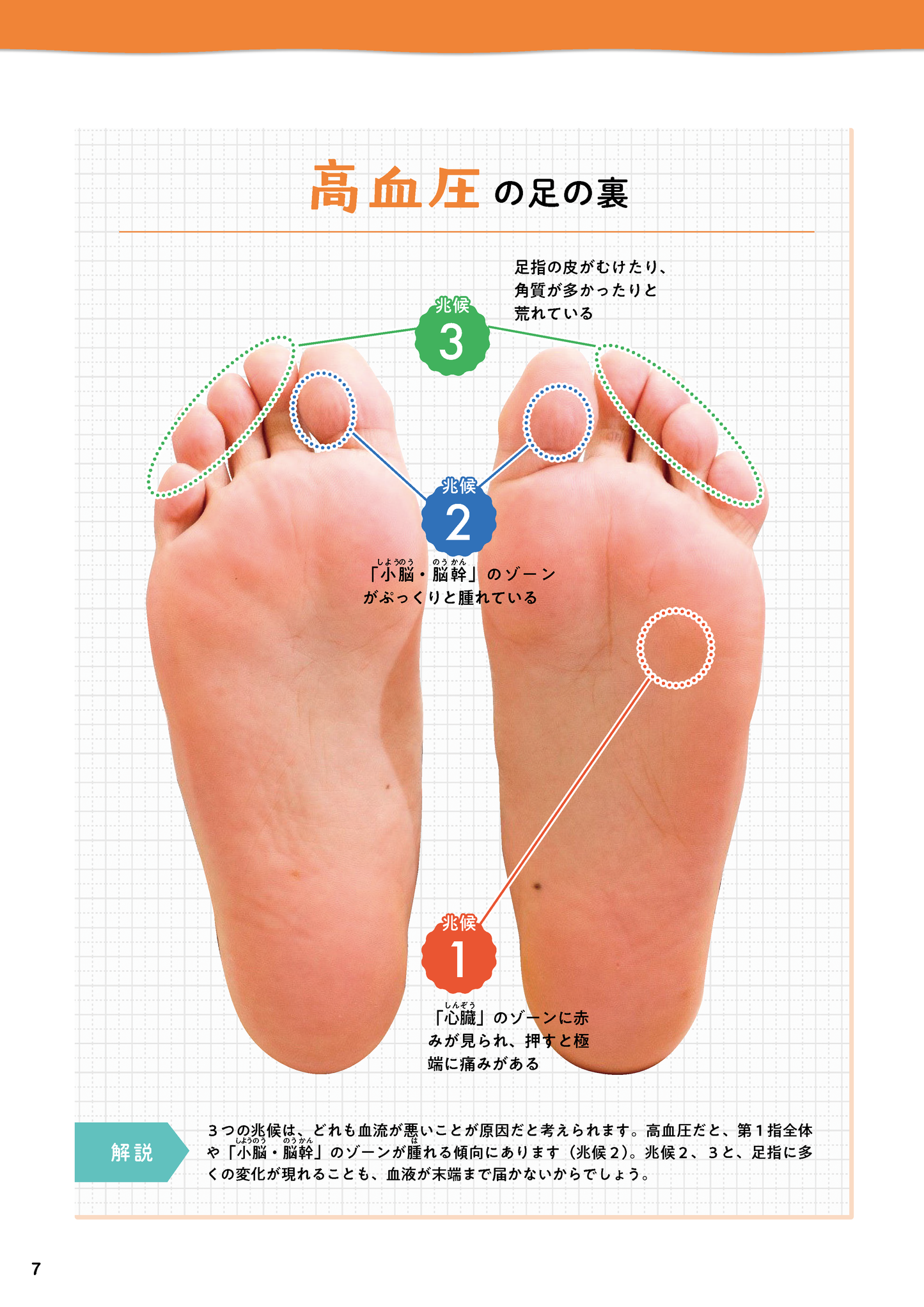 【書籍】足をもむと病気が治る！痛みが消える！ 新装版(M1736)