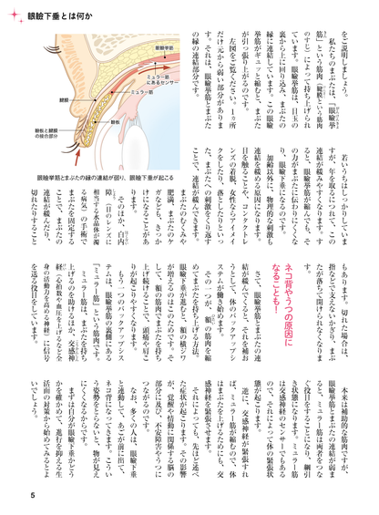 【書籍】眼瞼下垂 名医が教える最強療法 新装版(M1740)
