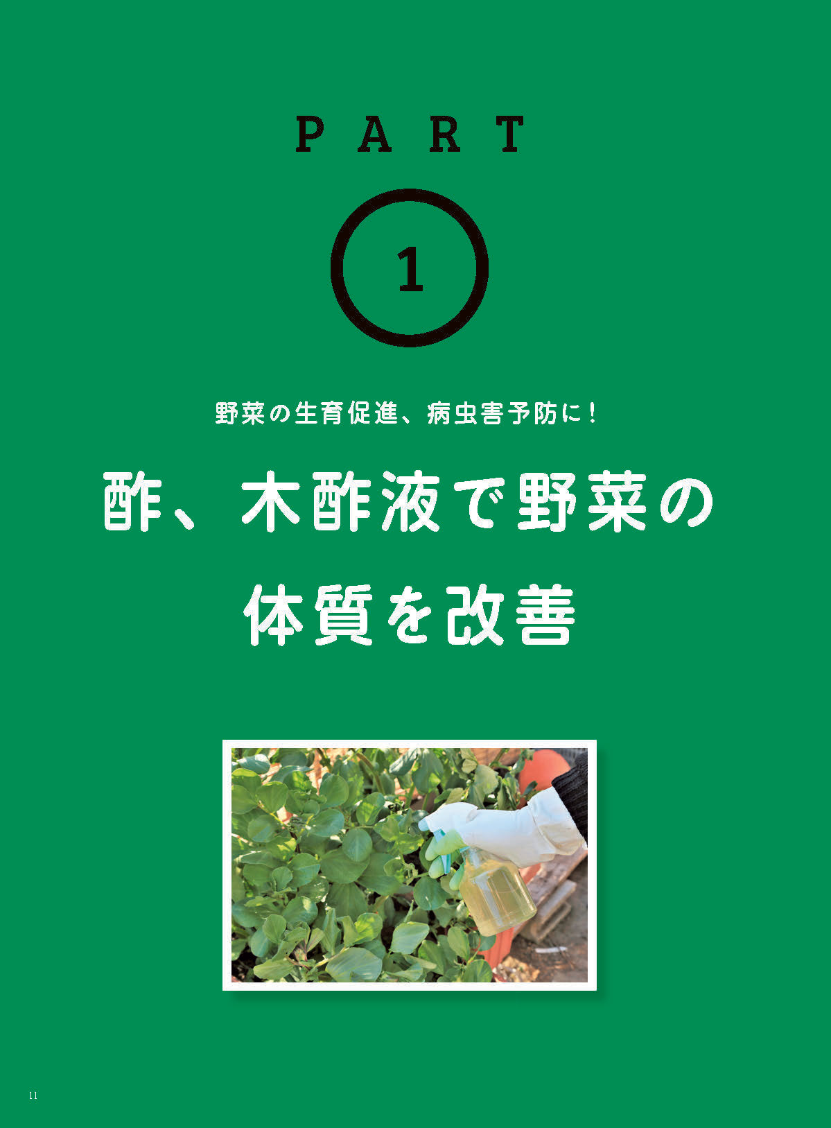 【書籍】家庭菜園の自然農薬 つくり方、使い方、効能がよくわかる！(M1838)