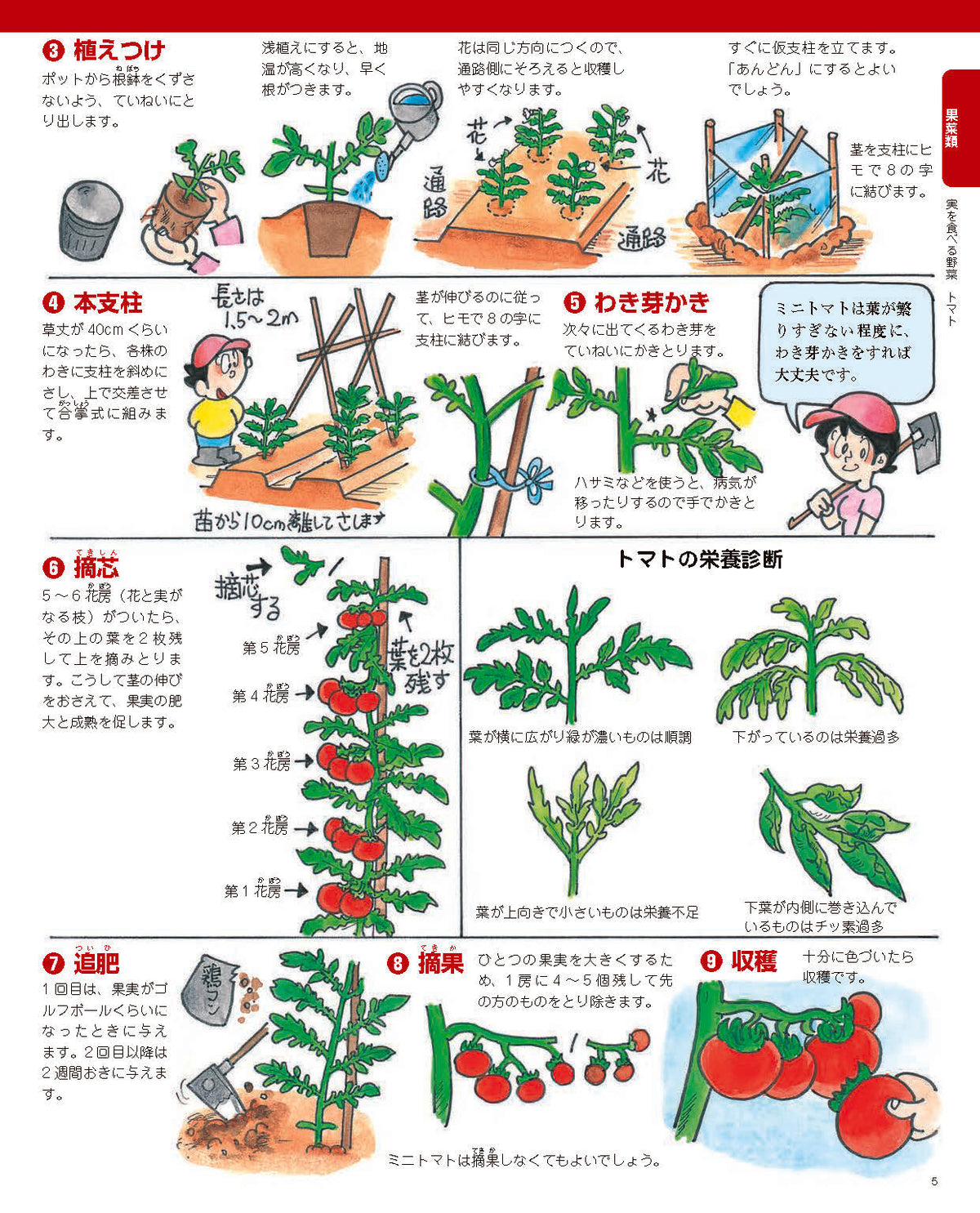 【書籍】増補改訂版 まんがと写真でよくわかる 野菜をつくろう！(M1839)