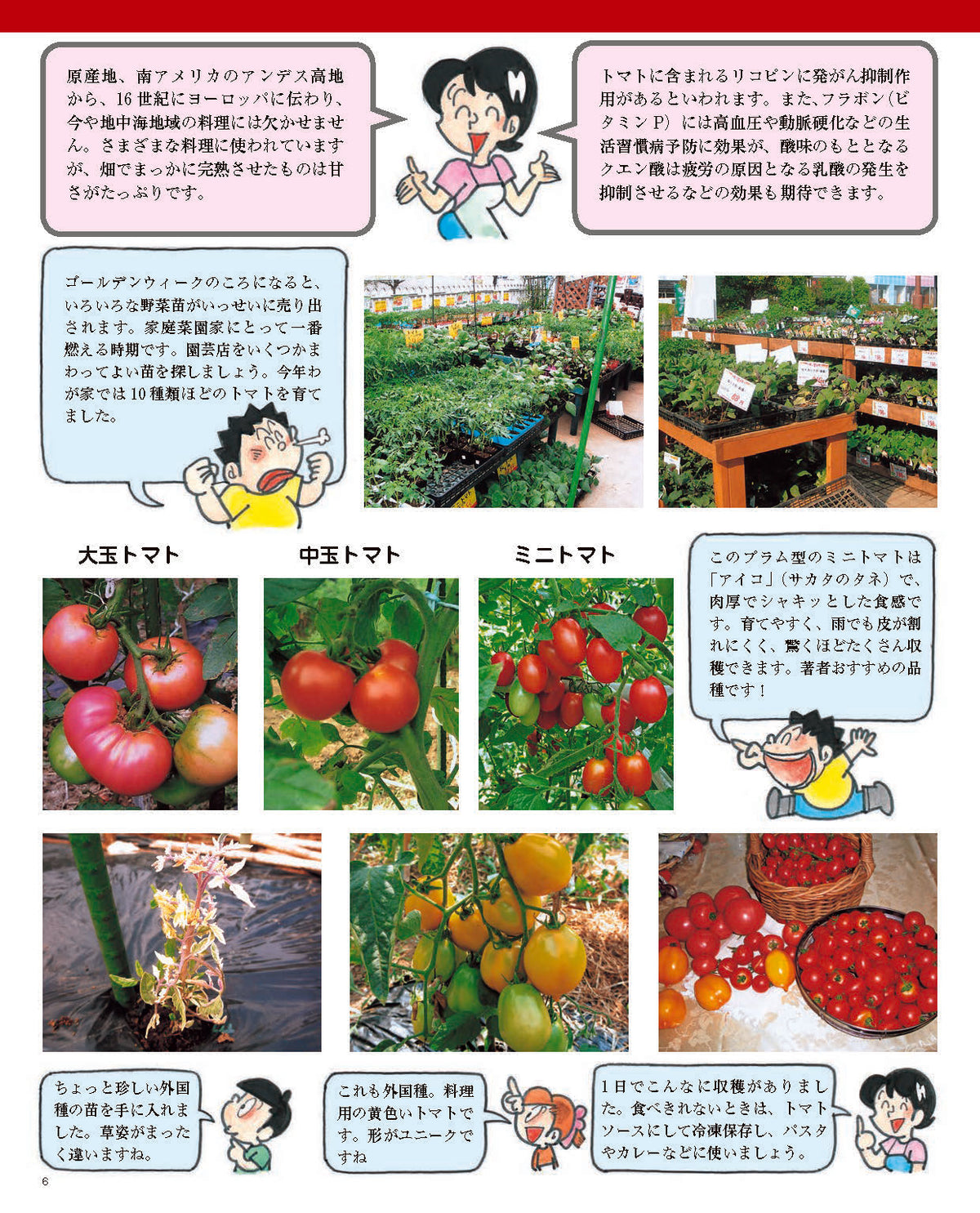 【書籍】増補改訂版 まんがと写真でよくわかる 野菜をつくろう！(M1839)