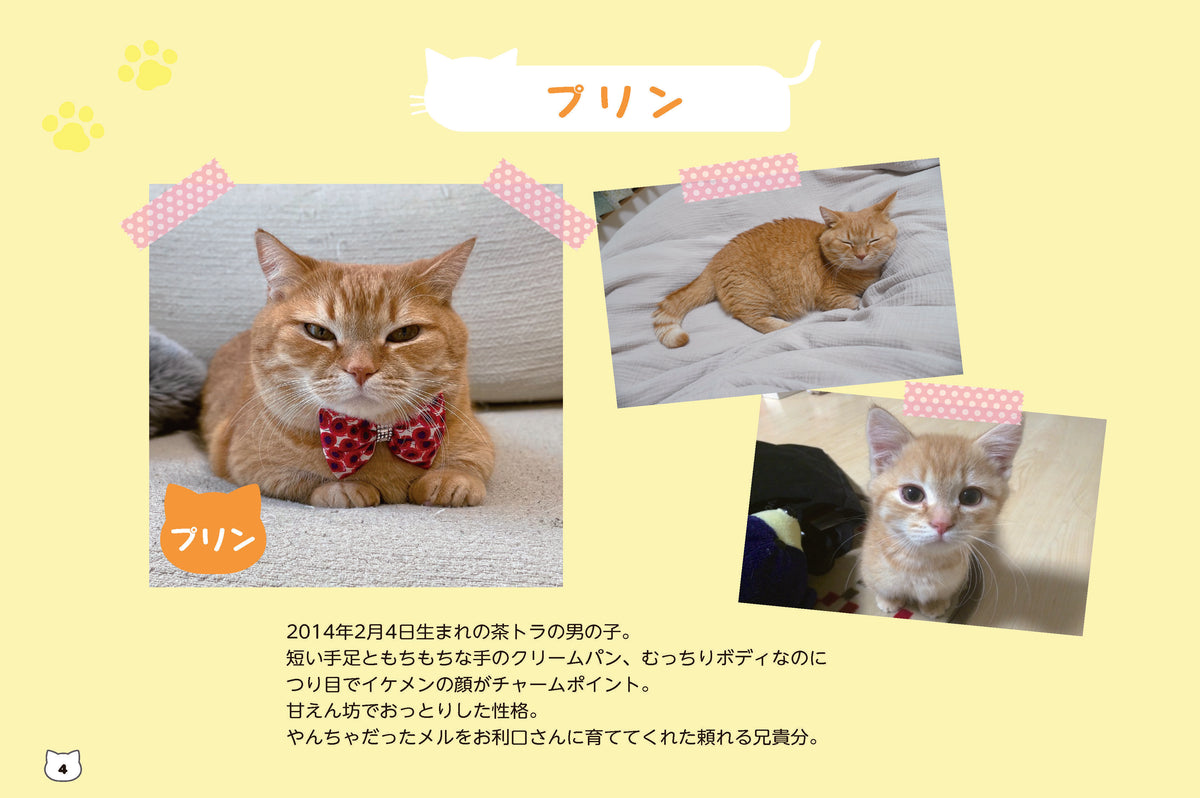 【書籍】短足マンチカンのプリンとメルのほっこりまちがい探し(M1846)