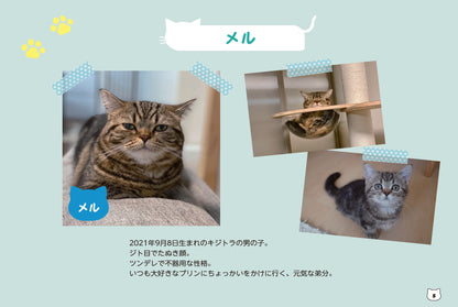 【書籍】短足マンチカンのプリンとメルのほっこりまちがい探し(M1846)
