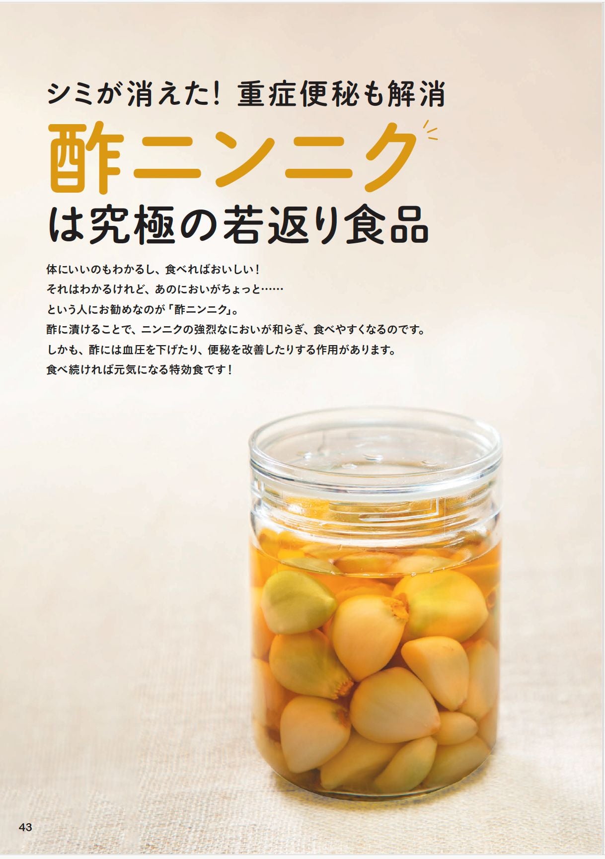 【書籍】元気になる！らくらくやせる！ニンニク活用レシピ(M1853)