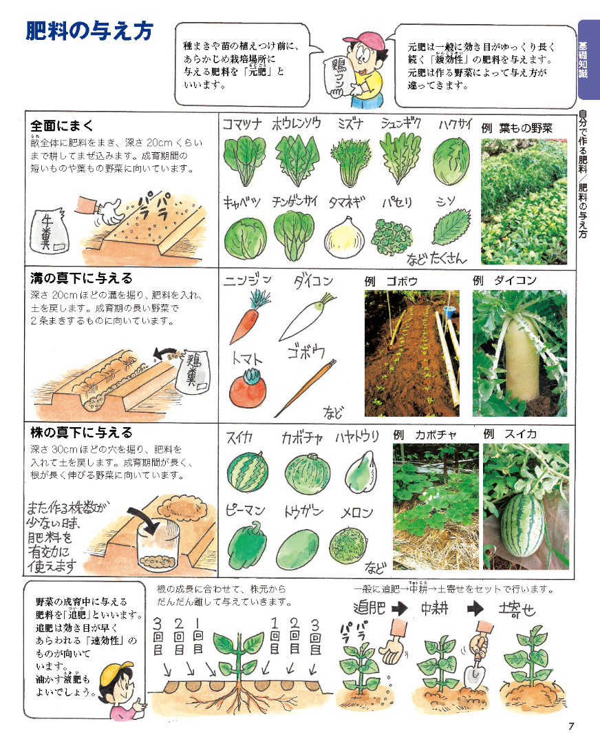 【書籍】増補改訂版　まんがと写真でわかる家庭菜園春夏秋冬(M1950)
