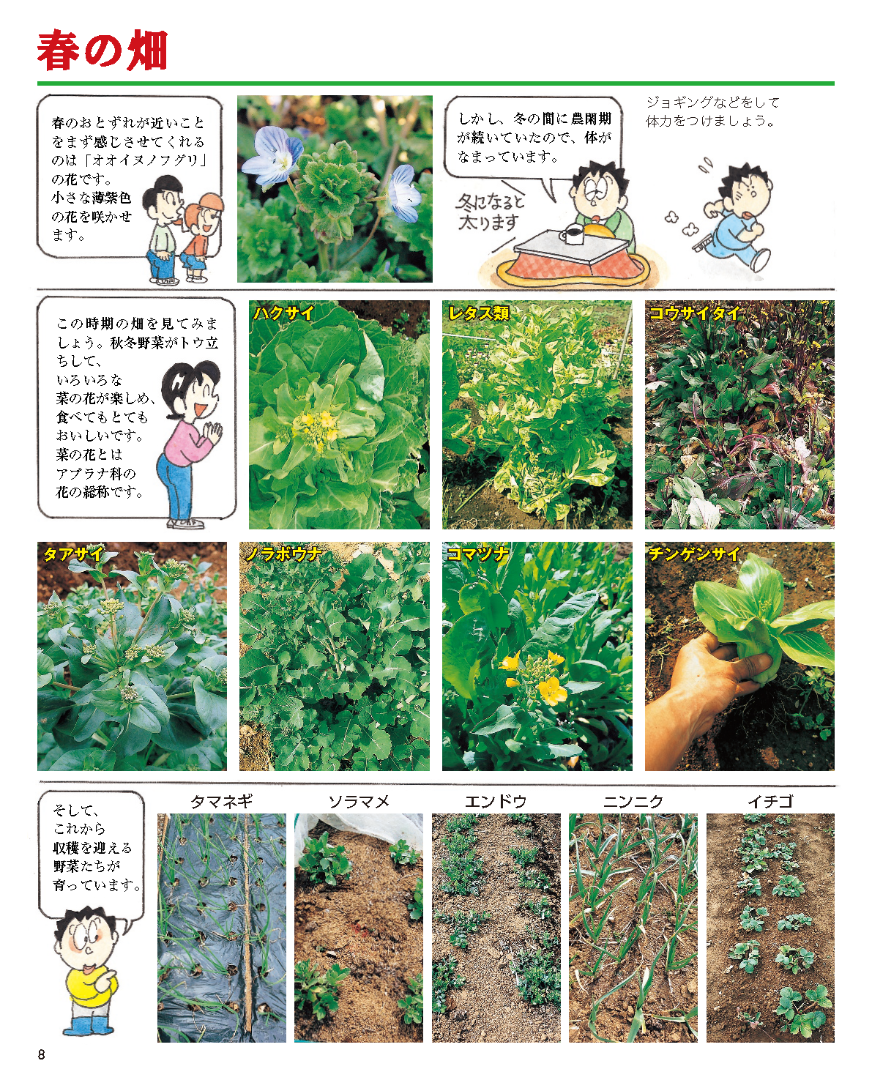 【書籍】増補改訂版　まんがと写真でわかる家庭菜園春夏秋冬(M1950)