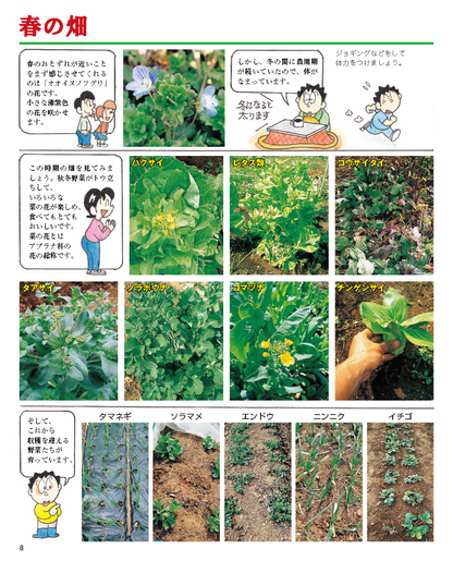 【書籍】増補改訂版　まんがと写真でわかる家庭菜園春夏秋冬(M1950)
