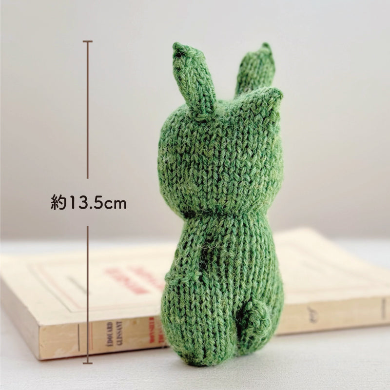 【あみぐるみキット】_《うさぎフードのねこ兄弟（みどり）・レシピなし》byツムギコウボウ（kit-0087）