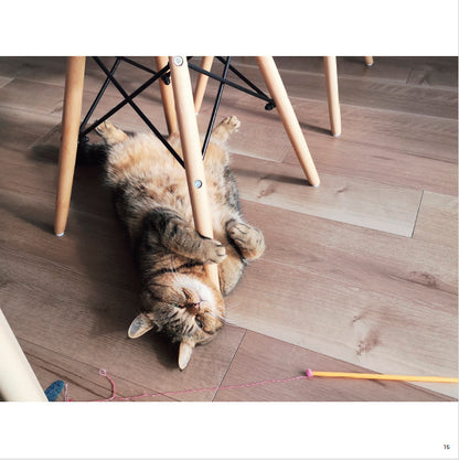 【書籍】ねこの寅次郎とかぎ針編みのおめかし小物(S8675)
