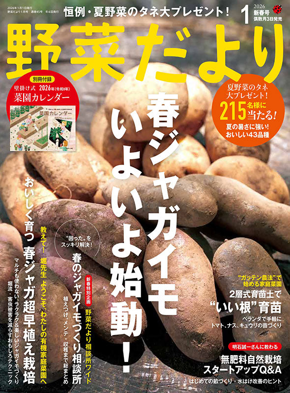 【書籍】野菜だより2026年1月新春号(112601)