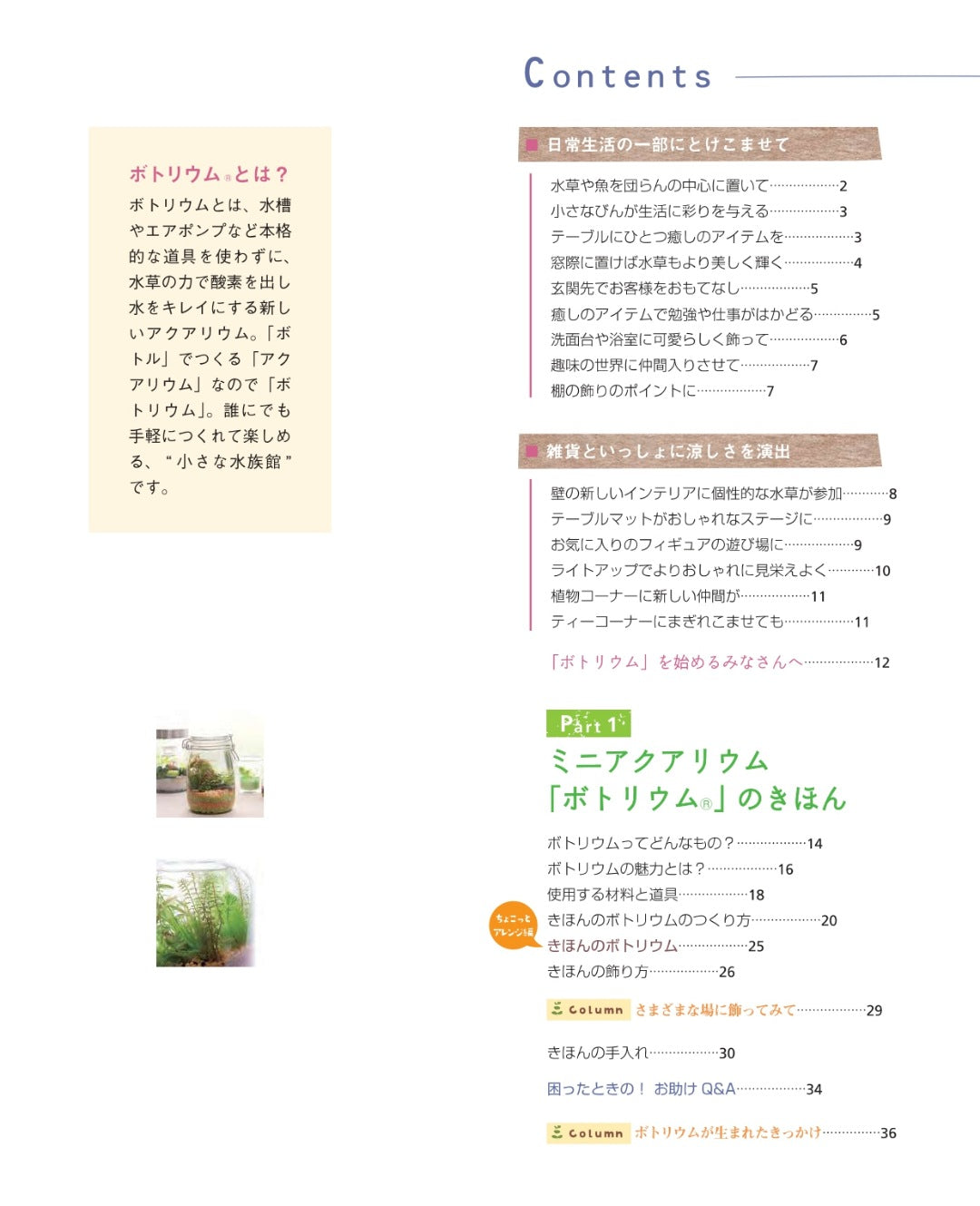 【書籍】手作り超ミニ水族館 ボトリウム 新装版(K40)